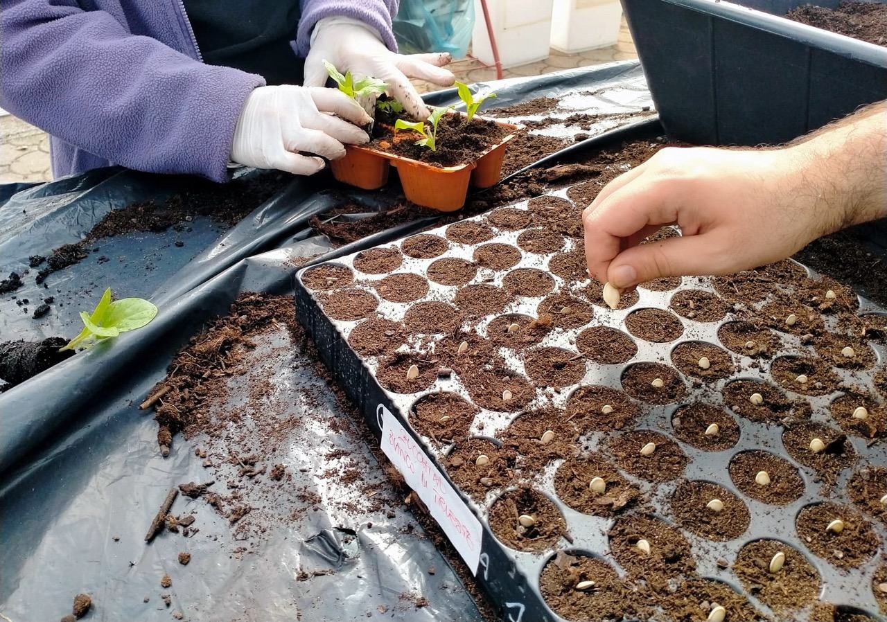laboratorio di cioccolato