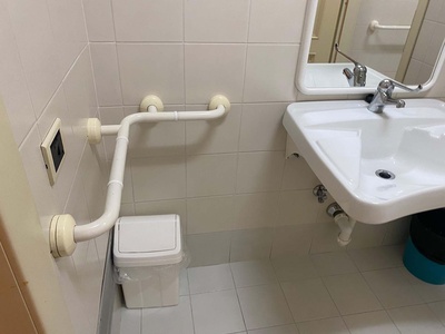 Particolare maniglione lato lavabo