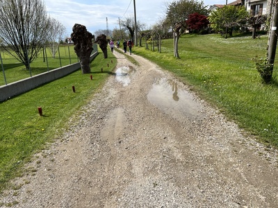 Photo 28 - Dirt path with muddy sections