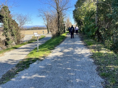 Photo 85 - Path on fine gravel road