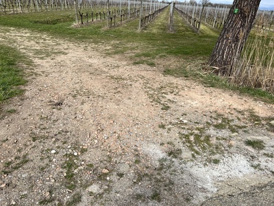 Foto 40 - Discesa nel campo in terra battuta e sassi, pendente circa 12 gradi