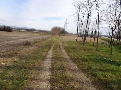 Photo 35 - Path on dirt road