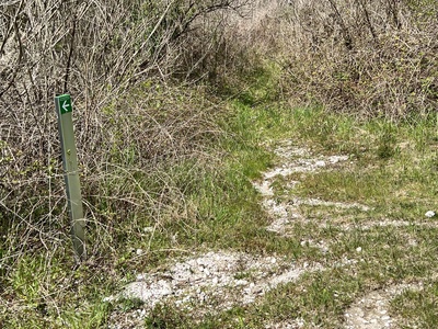 Photo 48 - Unpaved and grassy path