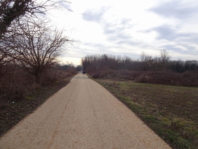 Photo 8 - Compacted gravel path