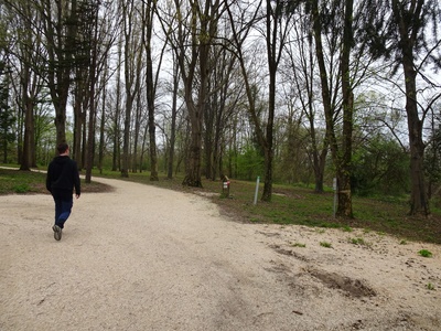 Photo 28 - Path with gravel surface