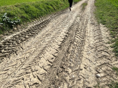 Photo 13 - Dirt and muddy path with tracks from agricultural vehicles