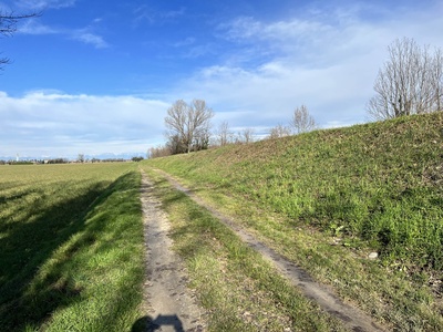 Photo 40 - Path on dirt road