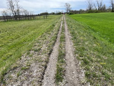 Photo 16 - Path about 50 cm wide, unpaved and grassy