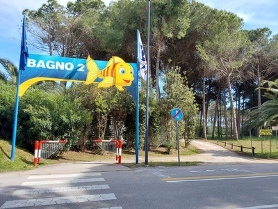 Ingresso
