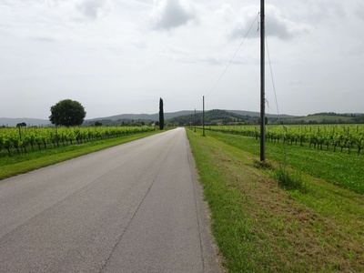 Photo 46 - Path on paved road