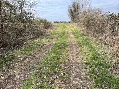 Photo 50 - Road with a mixed earth and grass surface