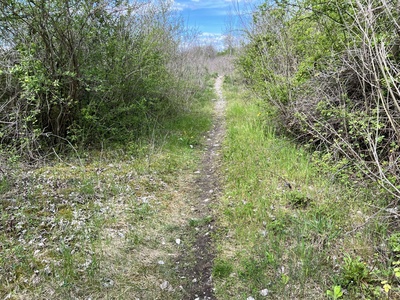 Photo 34 - Dirt path that is uneven with the presence of stones