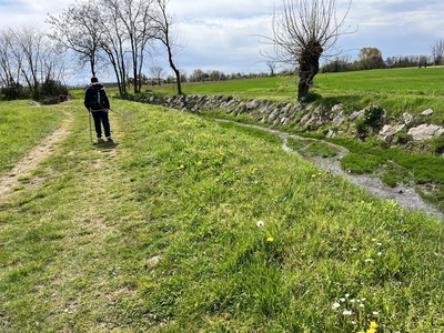 Foto 39 - Percorso a fianco di una roggia (il Rio Mossolino)