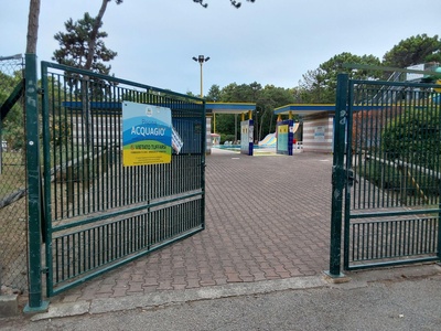 Ingresso