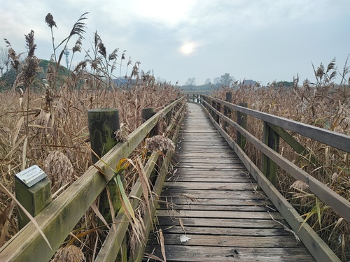 Marano Lagunare - Riserva Naturale Valle Canal Novo