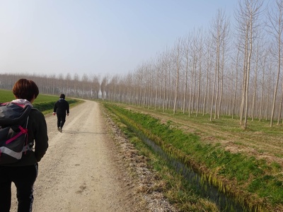 Photo 14 - Path on dirt road