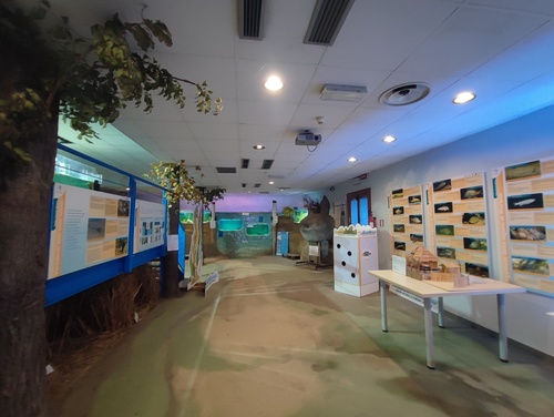 Acquario Lagunare c/o Riserva Naturale Valle Canal Novo