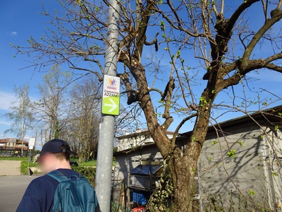 Photo 7 - The path indicator sign shows a curve