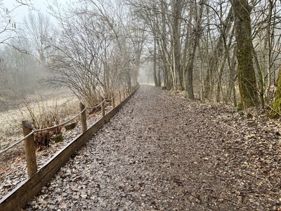 Photo 15 - Section with compact and homogeneous dirt road