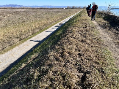 Photo 97 - Path on grassy trail