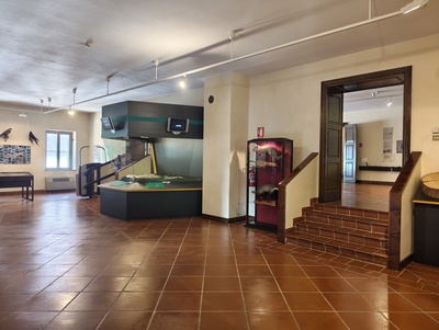 Sala 2, vista su bacheca plastico e scala di collegamento a sala 2