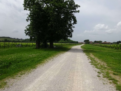 Photo 49 - Path on gravel road