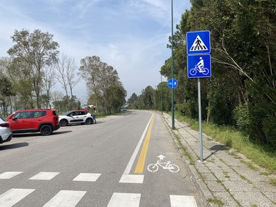 Foto 4 - Attraversamento pedonale e pista pedonale e marciapiede