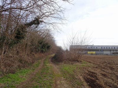 Photo 36 - Path on dirt road