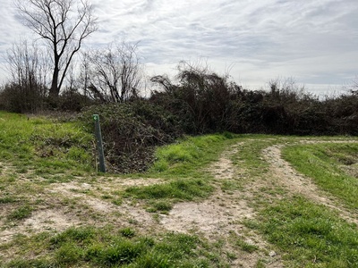 Photo 15 - Fork with path indicator sign