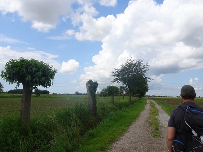 Photo 36 - Dirt road with a ditch on the left