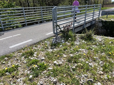 Photo 45 - Shot of the initial cycle-pedestrian path up to the starting point