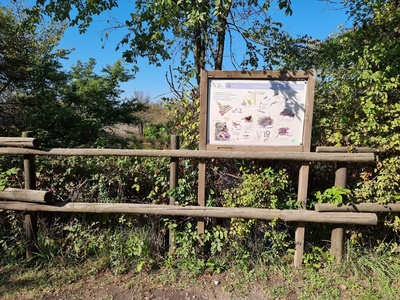 Photo 24 - signage inside the park