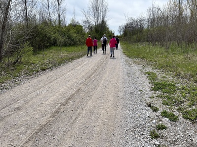 Photo 12 - Dirt path with fine gravel