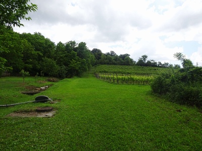 Photo 62 - Path on grassy ground