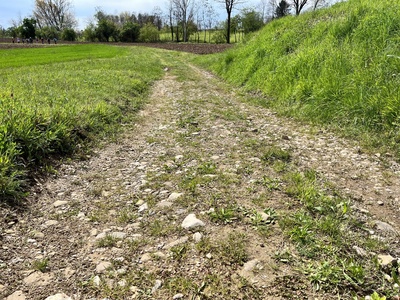 Photo 35 - Uneven and sloping dirt path