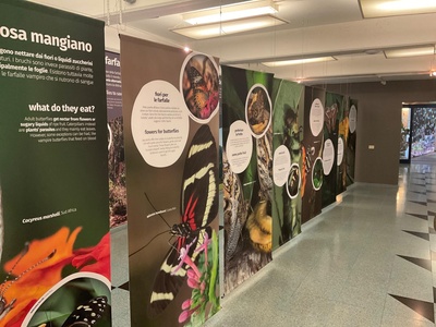 Pannelli illustrativi