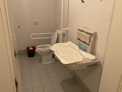 Tazza wc e fasciatoio ribaltabile