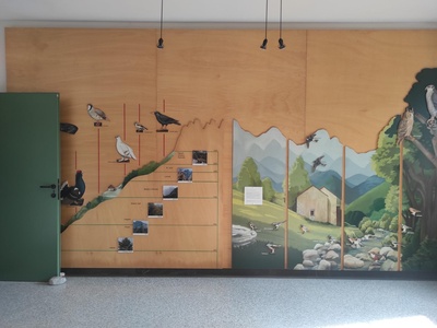 Saletta didattica, pannelli dipinti e diagrammi