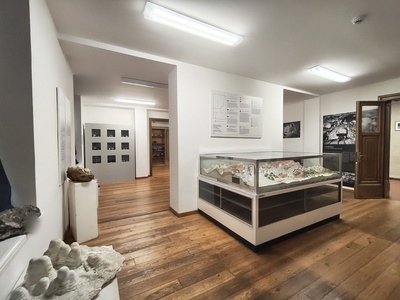 Sale espositive al piano terra