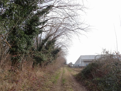 Photo 37 - Path on dirt road