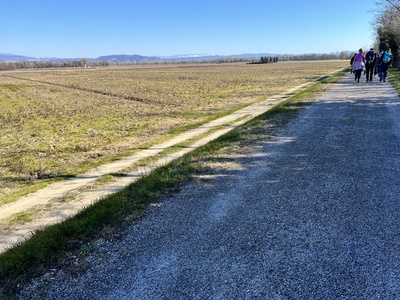 Photo 90 - Paved path with presence of gravel