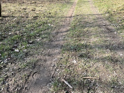 Photo 11 - Path on dirt road