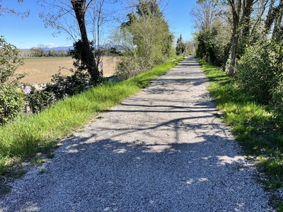 Photo 84 - Path on fine gravel road