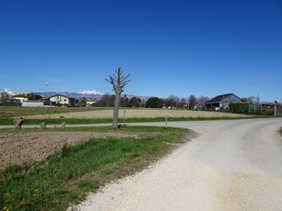 Foto 15 - Al termine di via della Lonca, il segnale indica di proseguire a sinistra