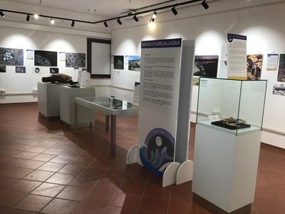Sala mostre temporanee