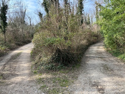 Photo 6 - Path on dirt road