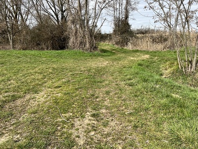 Photo 49 - Grassy path