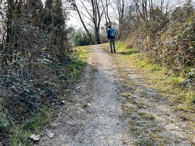 Photo 18 - Path on dirt trail