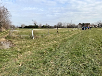 Photo 14 - Grassy path with direction indication