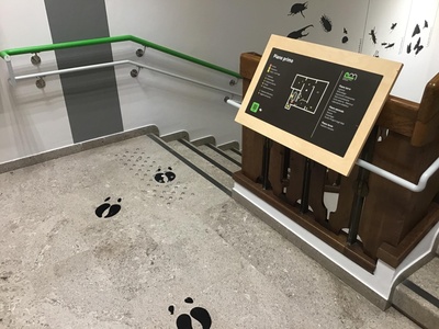 Mappa tattile del piano primo